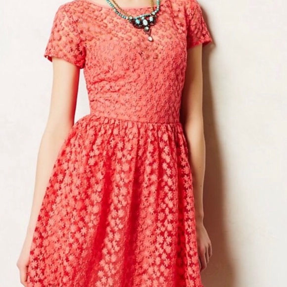 Anthropologie NM Artelier embroidered mesh dress🍉 - Picture 4 of 10